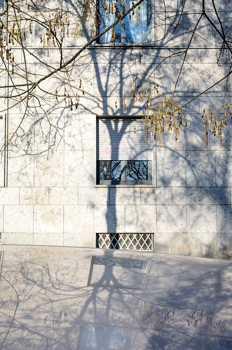 Shadows#18