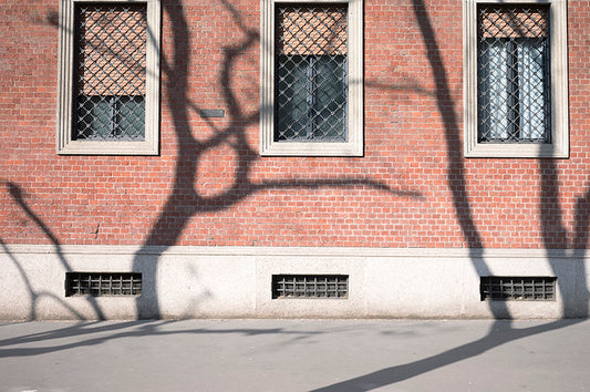 Shadows#10