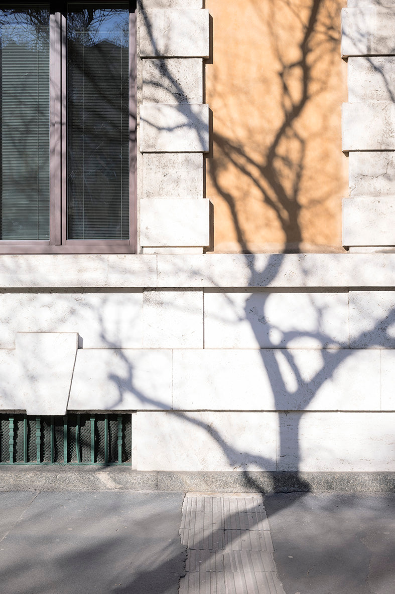 Shadows#14
