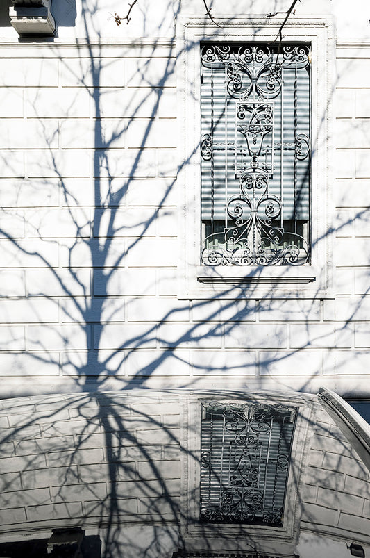 Shadows#15