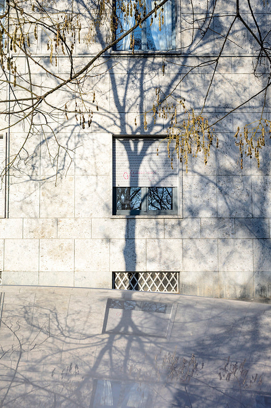 Shadows#18